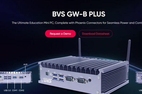 bvsion group